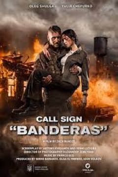 Poster Call Sign Banderas