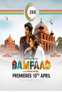 Poster Bamfaad