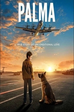 Poster Palma
