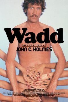 Poster John Holmes y su época