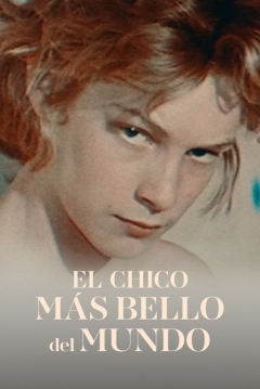 Poster El Chico Más Bello del Mundo