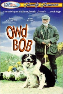 Poster El Viejo Bob