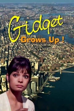 Ficha Gidget ya no es una niña