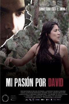 Poster Mi pasión por David