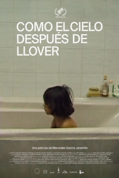 Poster Como el Cielo Después de Llover