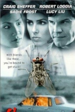 Poster Flypaper