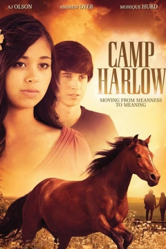 Poster Camp Harlow