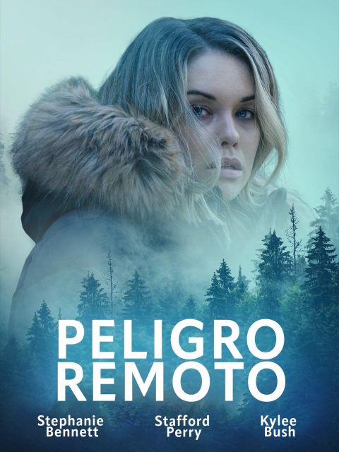 Peligro Remoto — póster
