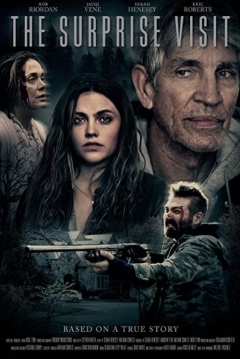 Poster The Surprise Visit