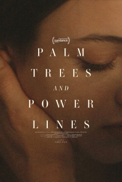 Poster Nunca Llueve en California