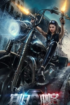 Poster The Widows Assassin