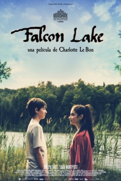 Poster Falcon Lake