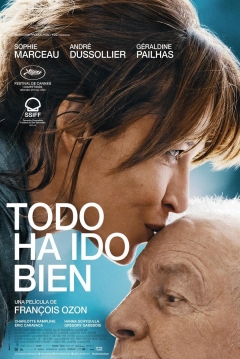 Poster Todo Ha Ido Bien