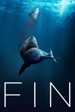 Poster Fin
