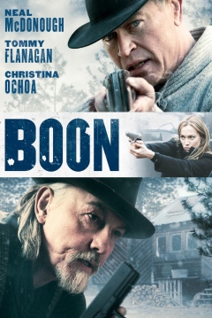 Poster Boon: El Protector