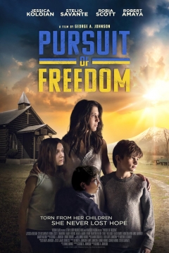 Poster Pursuit of Freedom