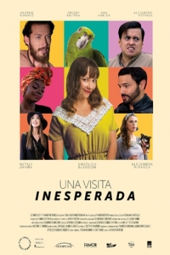 Poster Una Visita Inesperada