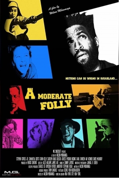 Poster A Moderate Folly