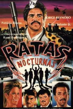 Poster Ratas nocturnas