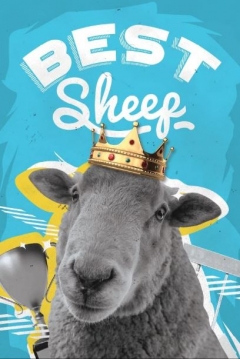 Poster Best Sheep