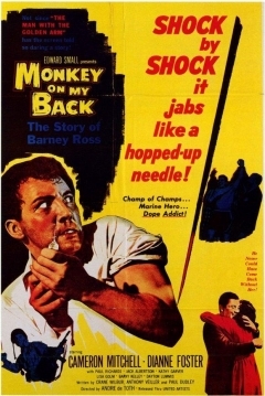 Poster Combate Decisivo