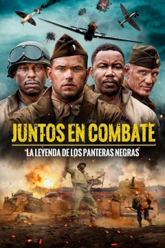 Poster Juntos en Combate