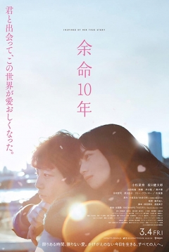 Poster The Last 10 Years