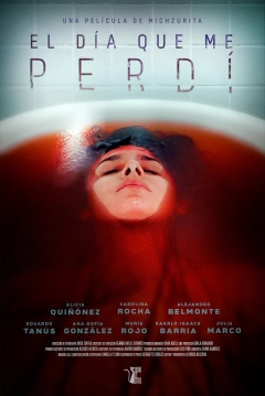 Poster El Día que me Perdí
