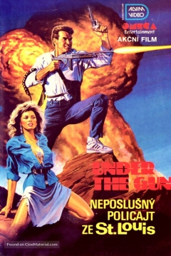 Poster Vengador