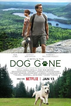 Poster Perro Perdido