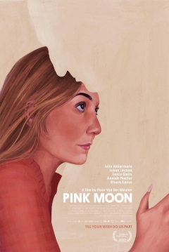 Poster Pink Moon
