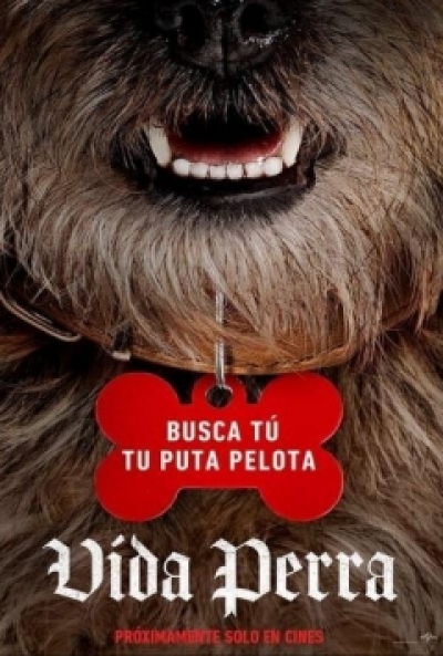 Poster Vida Perra