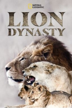 Poster Lion Dynasty