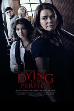 Poster The Price of Perfection