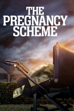 Poster The Pregnancy Scheme