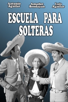 Poster Escuela para solteras