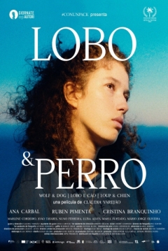 Poster Lobo & Perro
