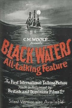 Poster Black Waters