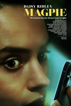 Poster Magpie