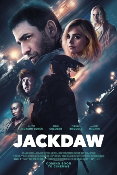 Poster Jackdaw