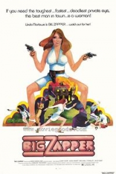 Poster Big Zapper, Investigadora Especial