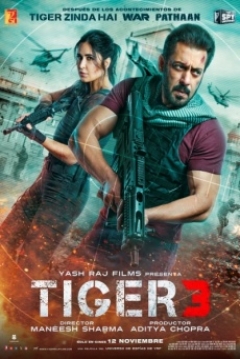 Poster Tiger 3