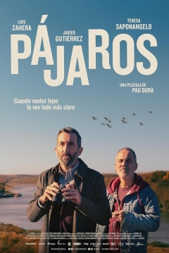 Poster Pájaros