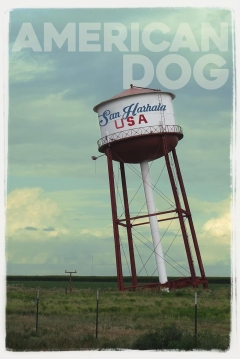 Poster American Dog