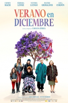 Poster Verano en diciembre
