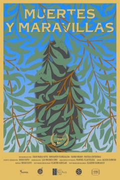 Poster Muertes y Maravillas
