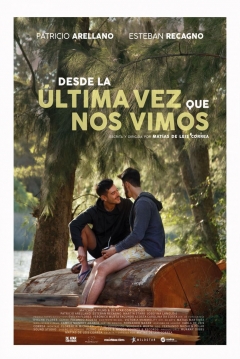 Poster Desde la Última Vez que Nos Vimos