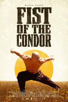 Ficha El Puño del Cóndor