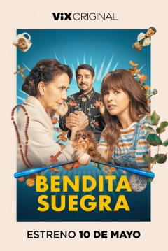 Poster Bendita Suegra