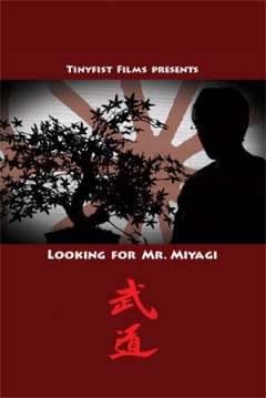Poster Looking for Mr. Miyagi